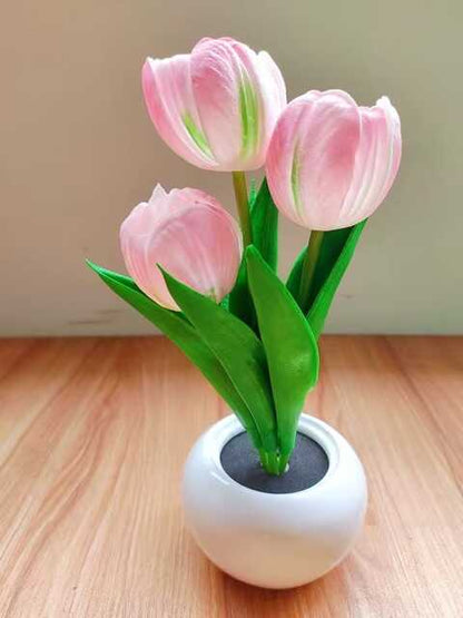 Tulip Night Led Lamp